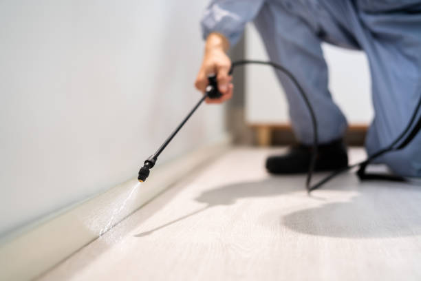 Licensed Fumigation Services service in Sheridan, CA - Nex Pest Control