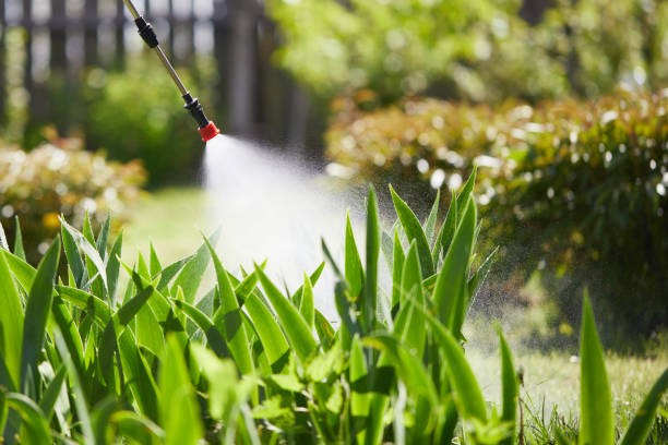 24/7 Emergency Fumigation Services experts in Sheridan, CA